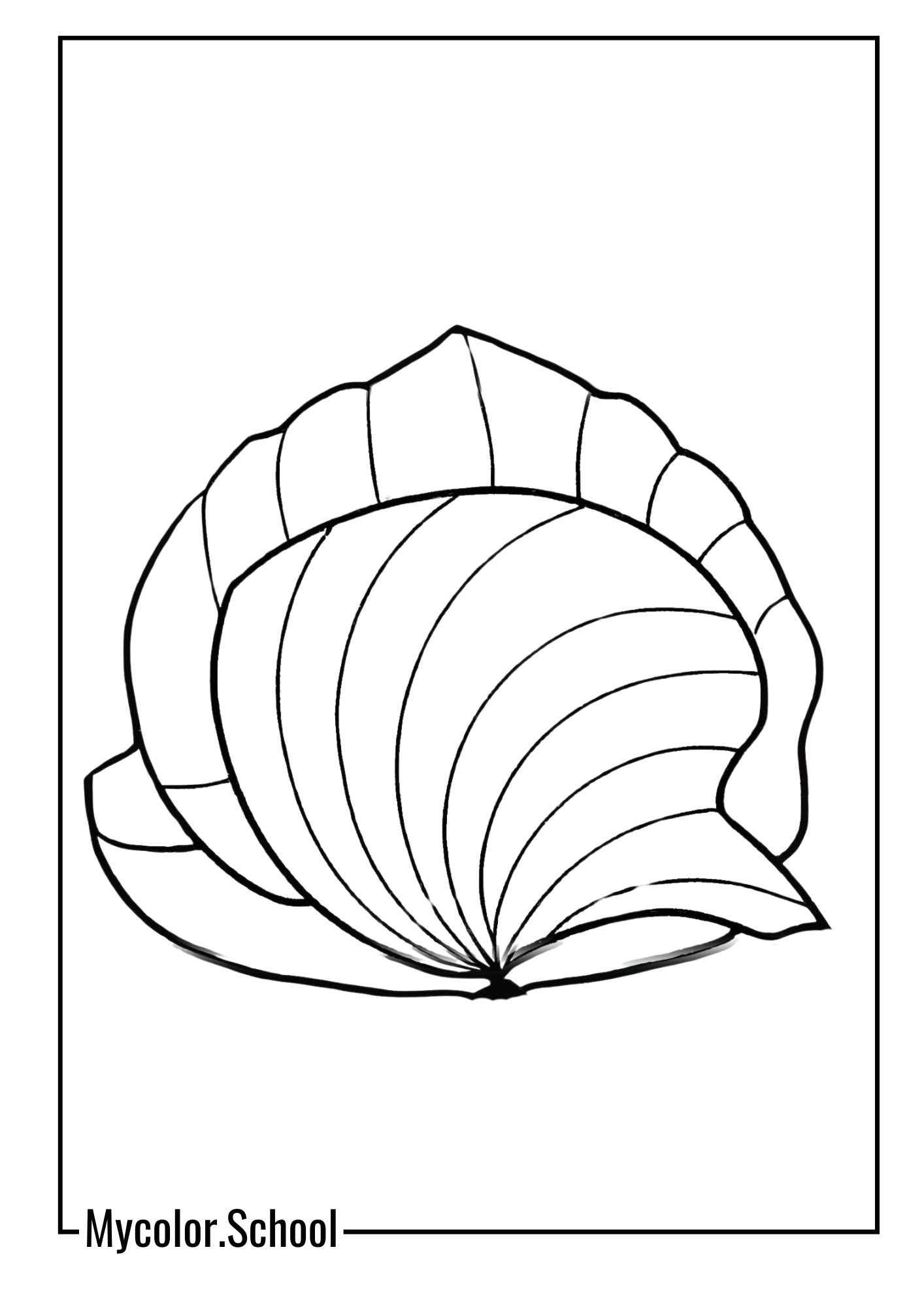Clam Coloring Pages classic clam with a round shell