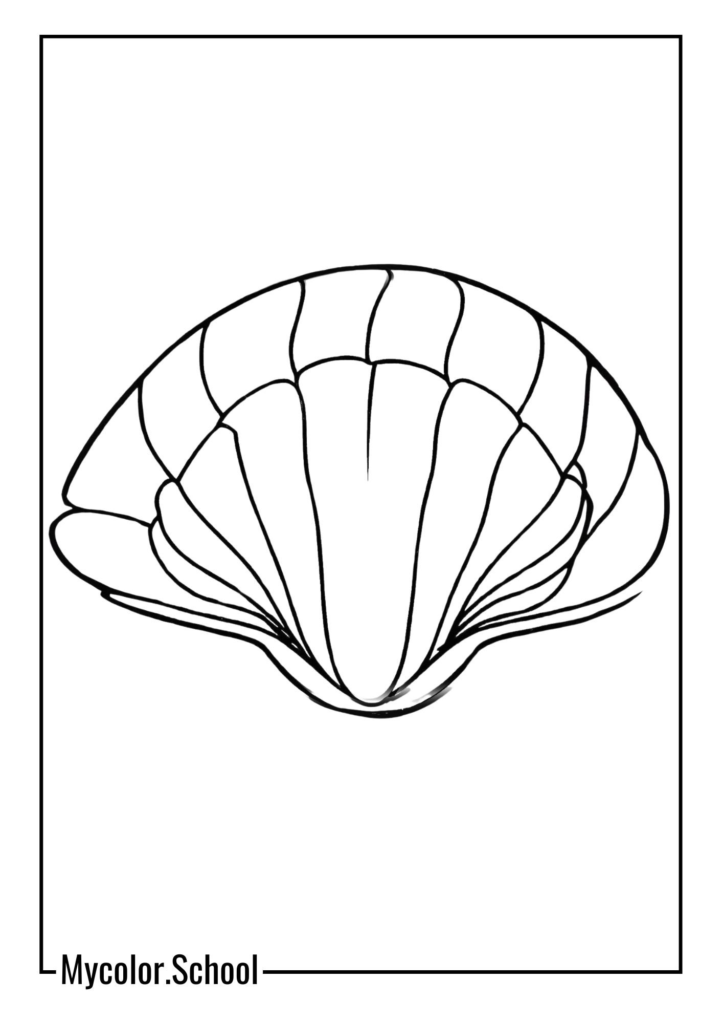 Clam Coloring Pages clam with a soft, lavender-colored shell