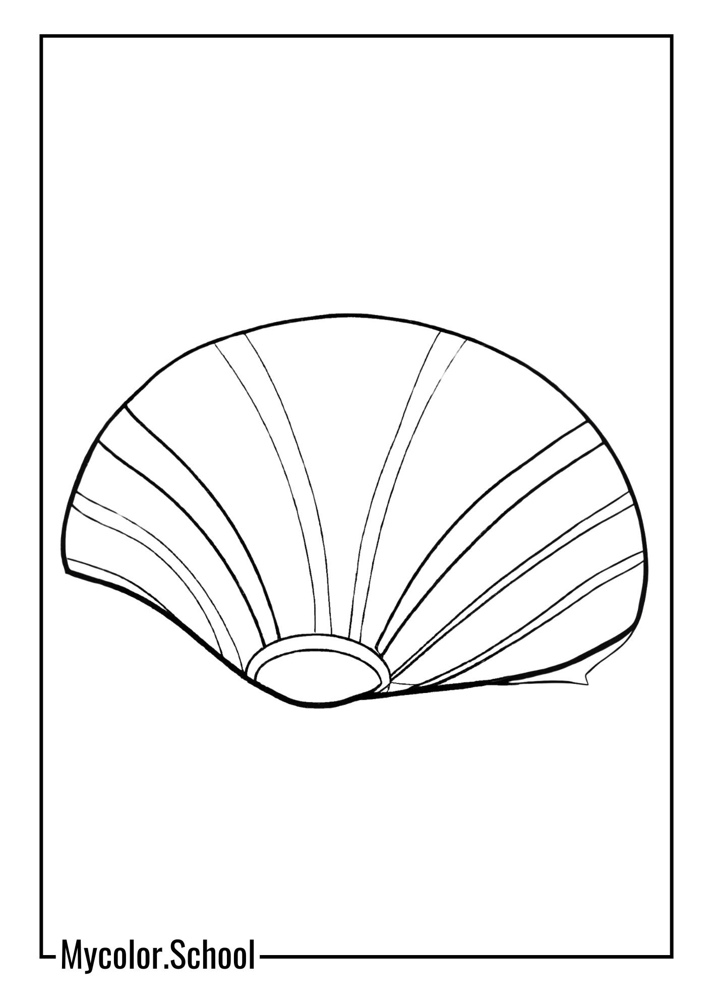 Clam Coloring Pages close-up of a clam's
