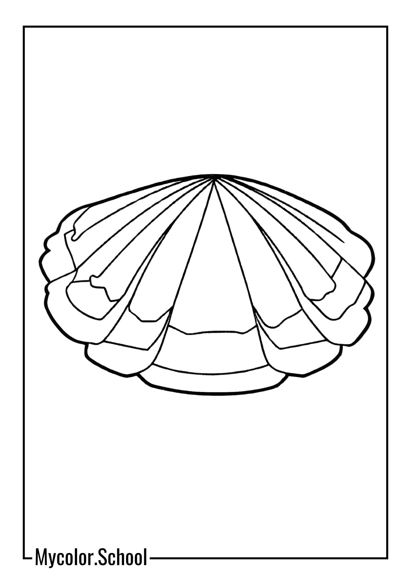 Clam Coloring Pages shell that has a unique pattern.