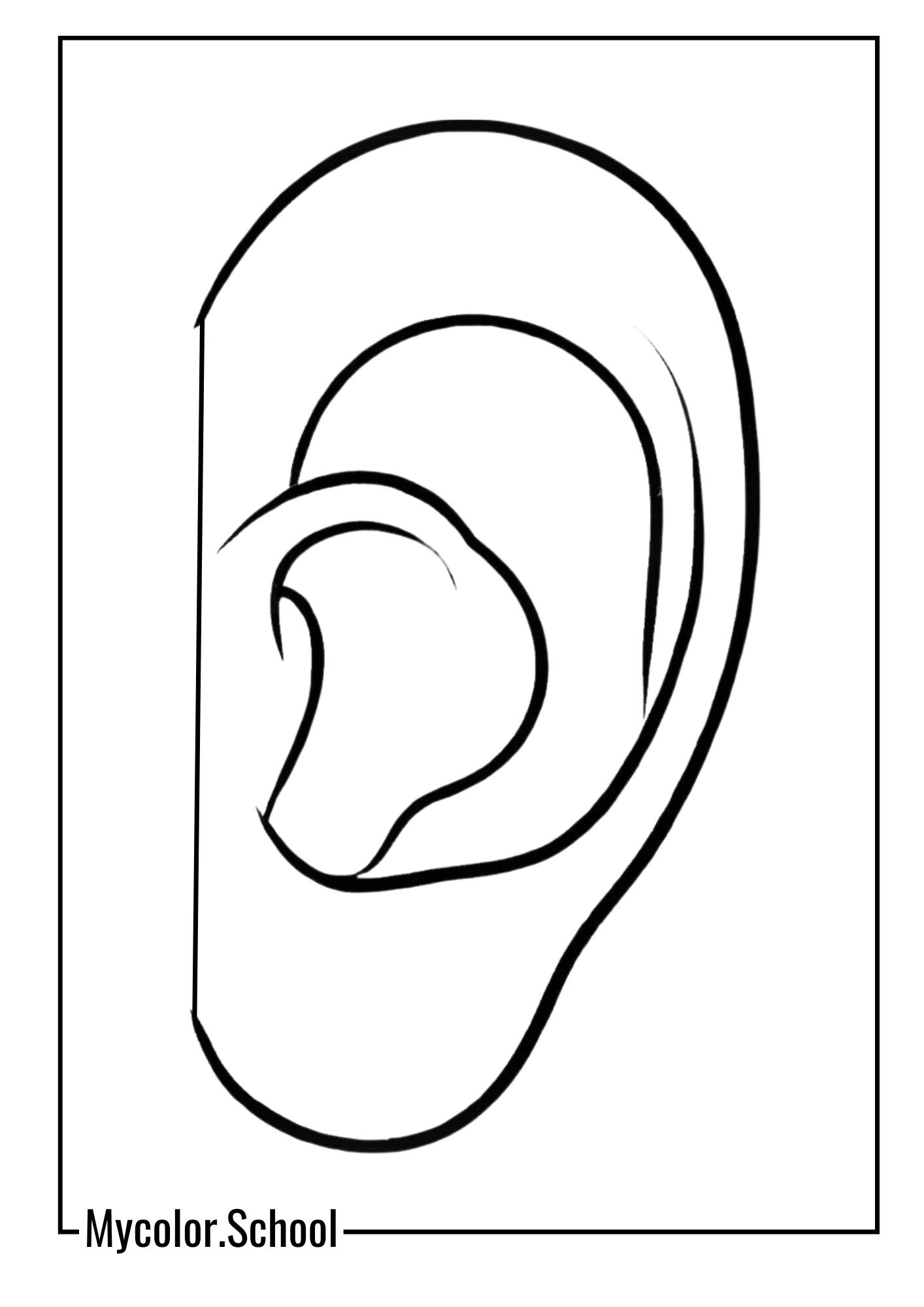 Ear Coloring Pages Big ear
