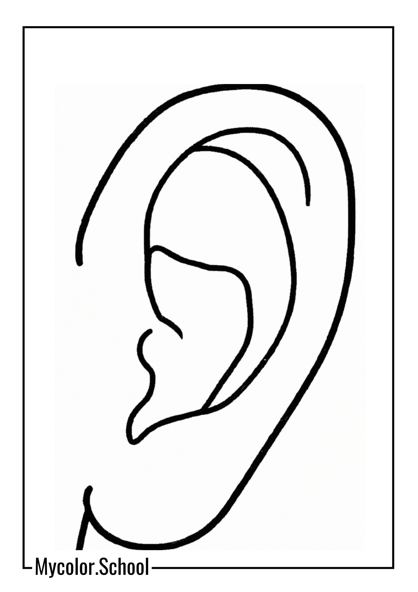 Ear Coloring Pages cute ear