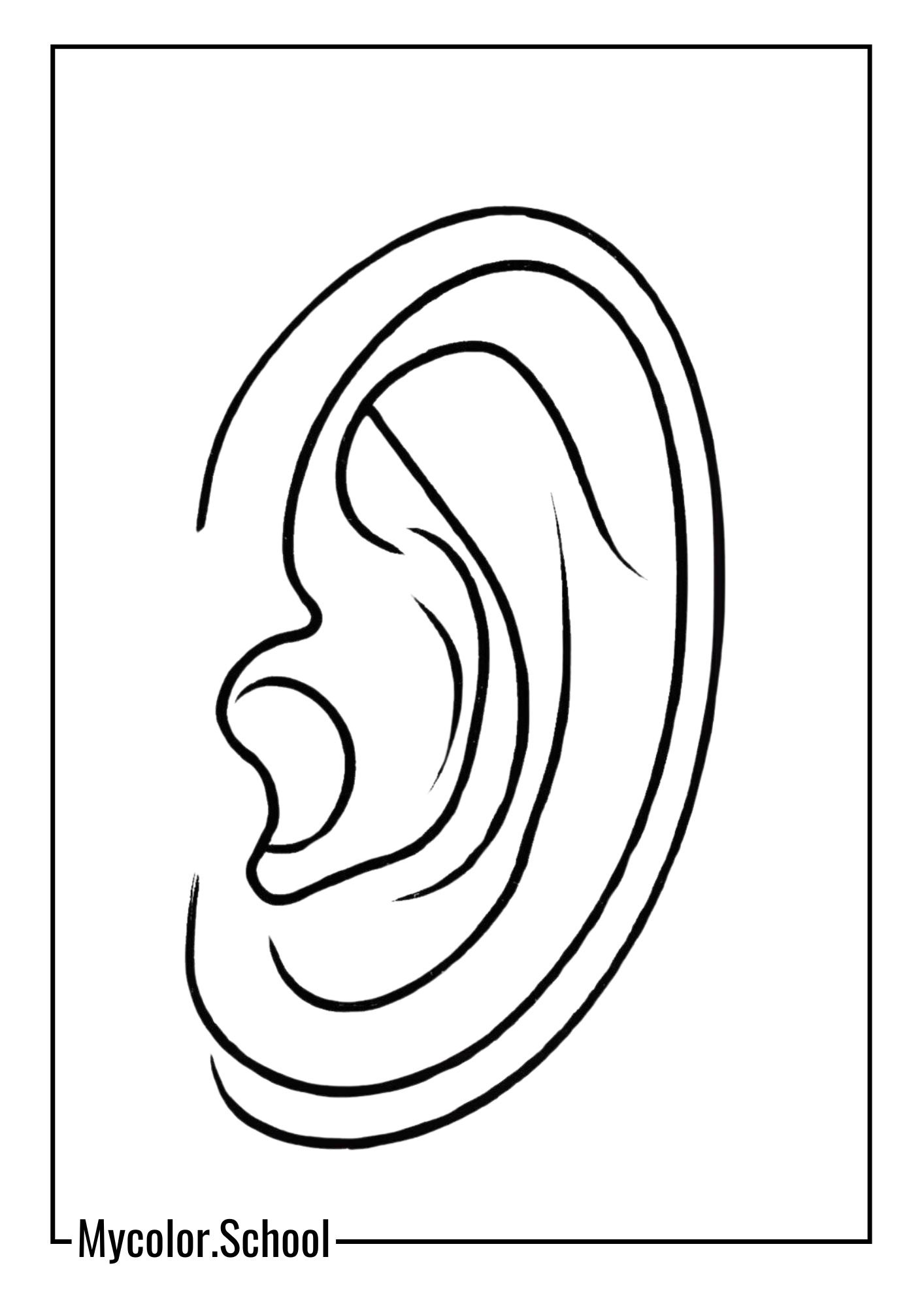Ear Coloring Pages cute ear