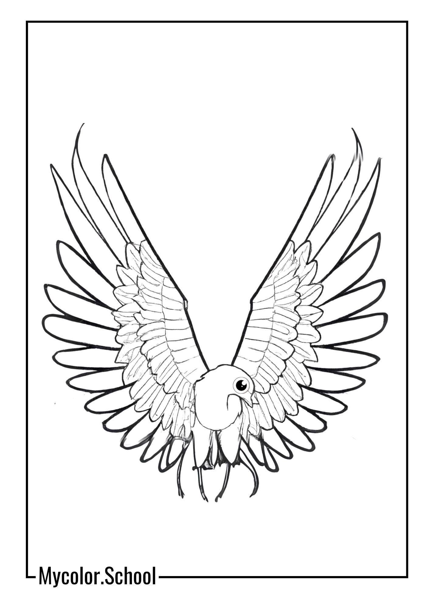 Hawk Coloring Pages wings spread wide and its feathers ruffled by the wind