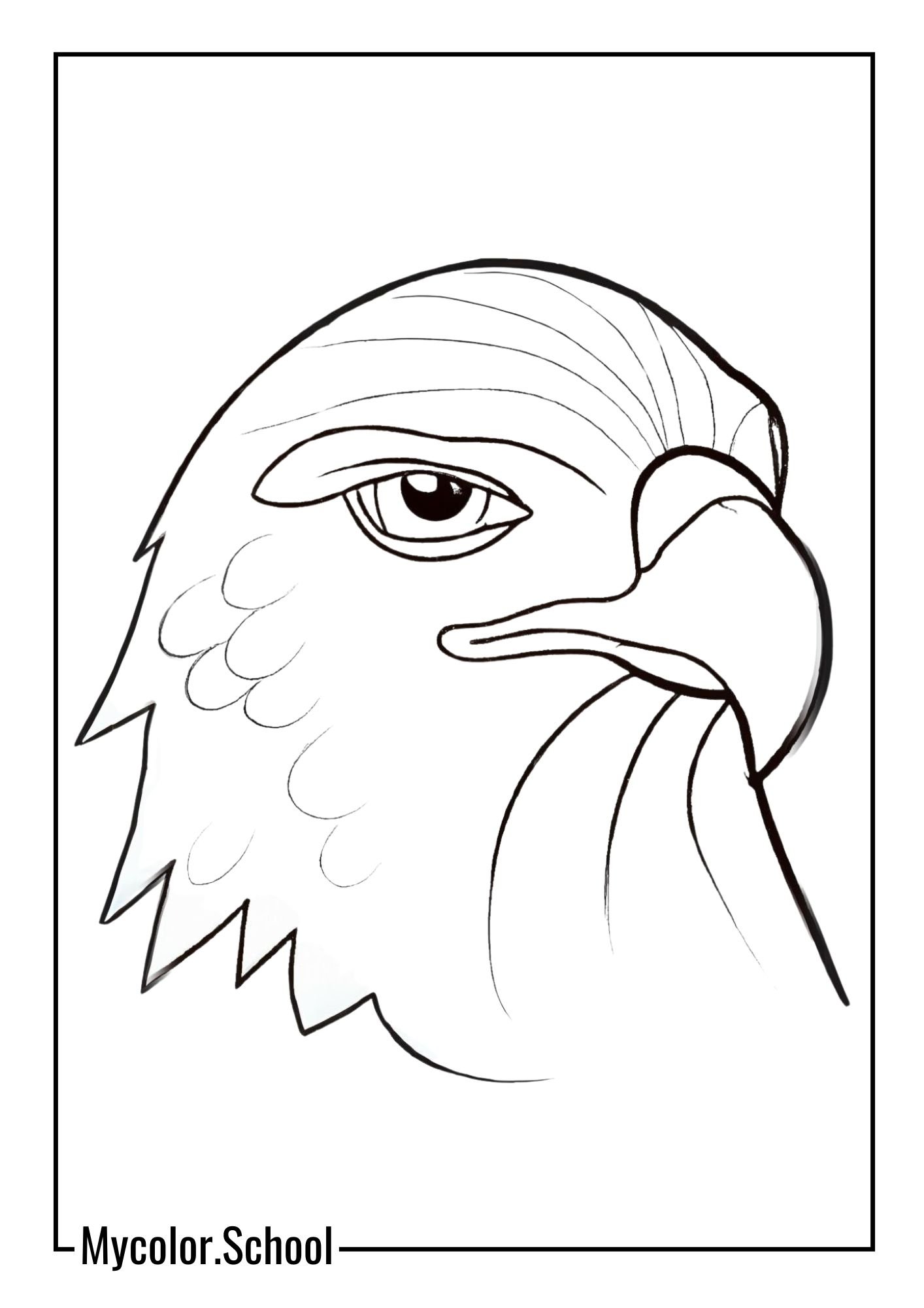 Hawk Coloring Pages close-up of a hawk's face