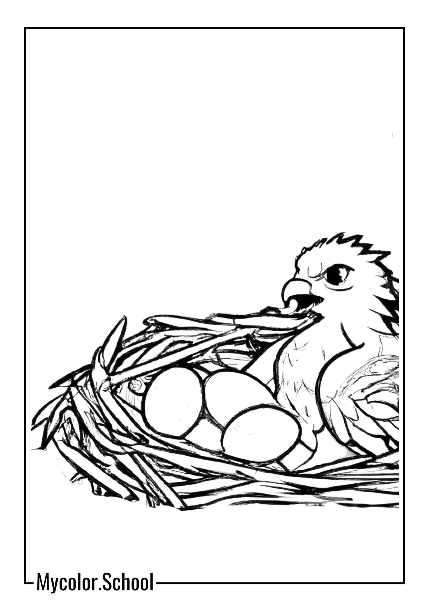 Hawk Coloring Pages hawk in its nest