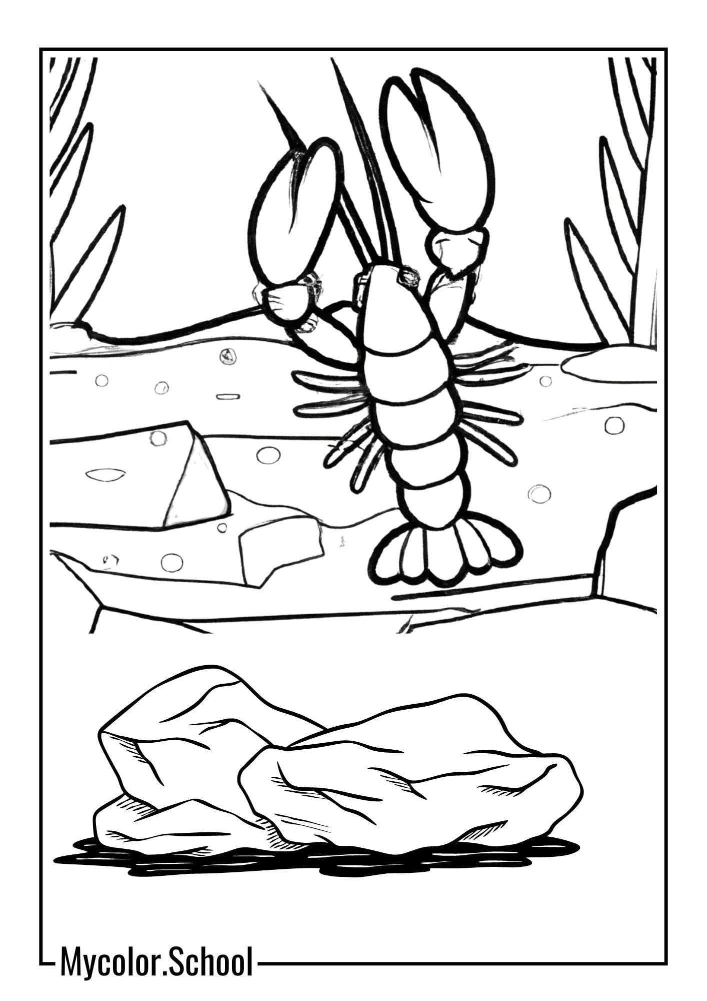 Lobster Coloring Pages Exploring Lobster