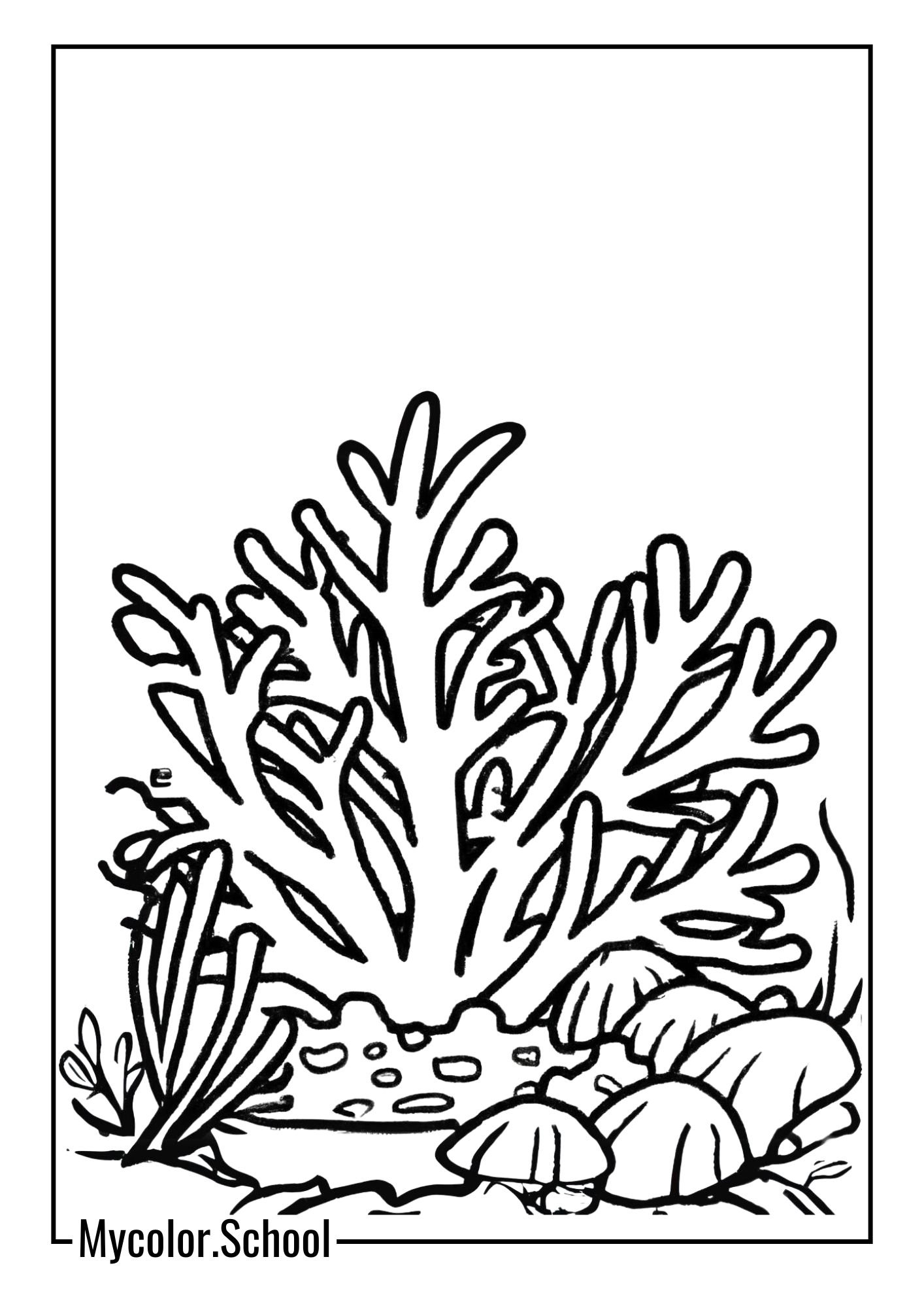 Ocean Coloring Pages coral reefs