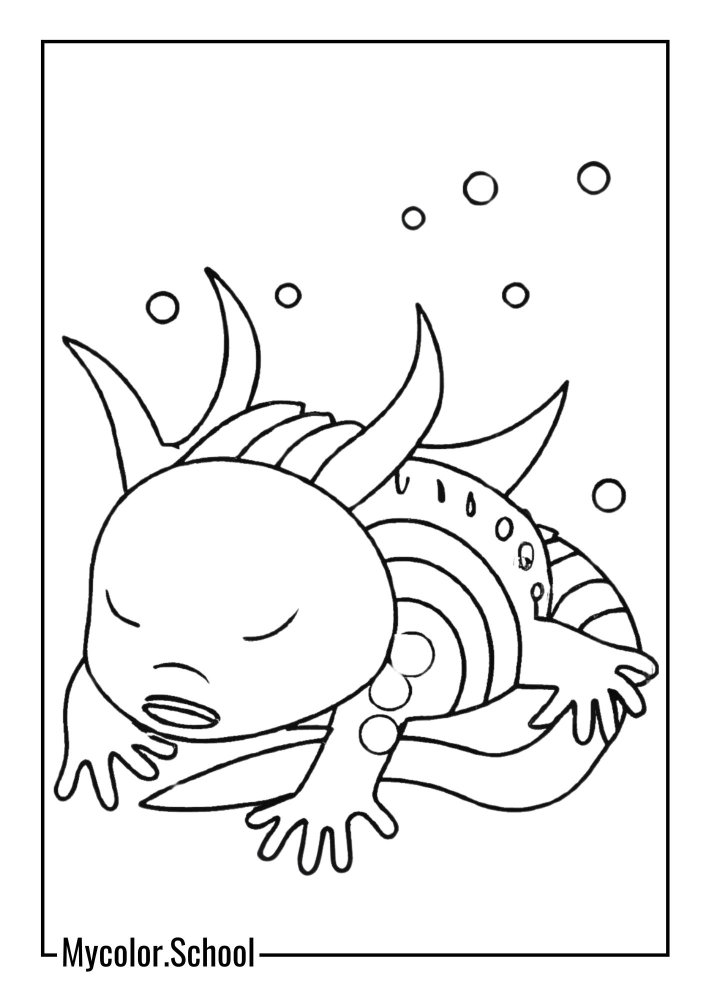 Salamander Coloring Pages Axolotl
