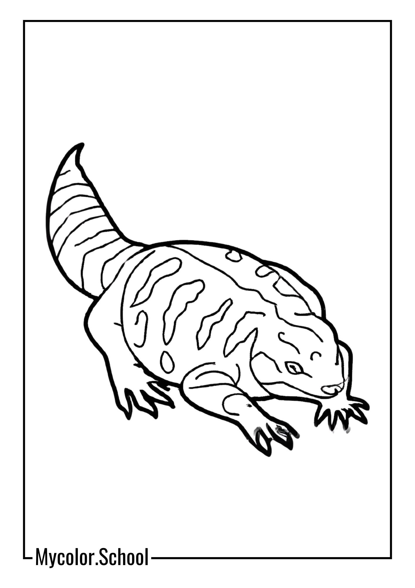 Salamander Coloring Pages Tiger Salamander