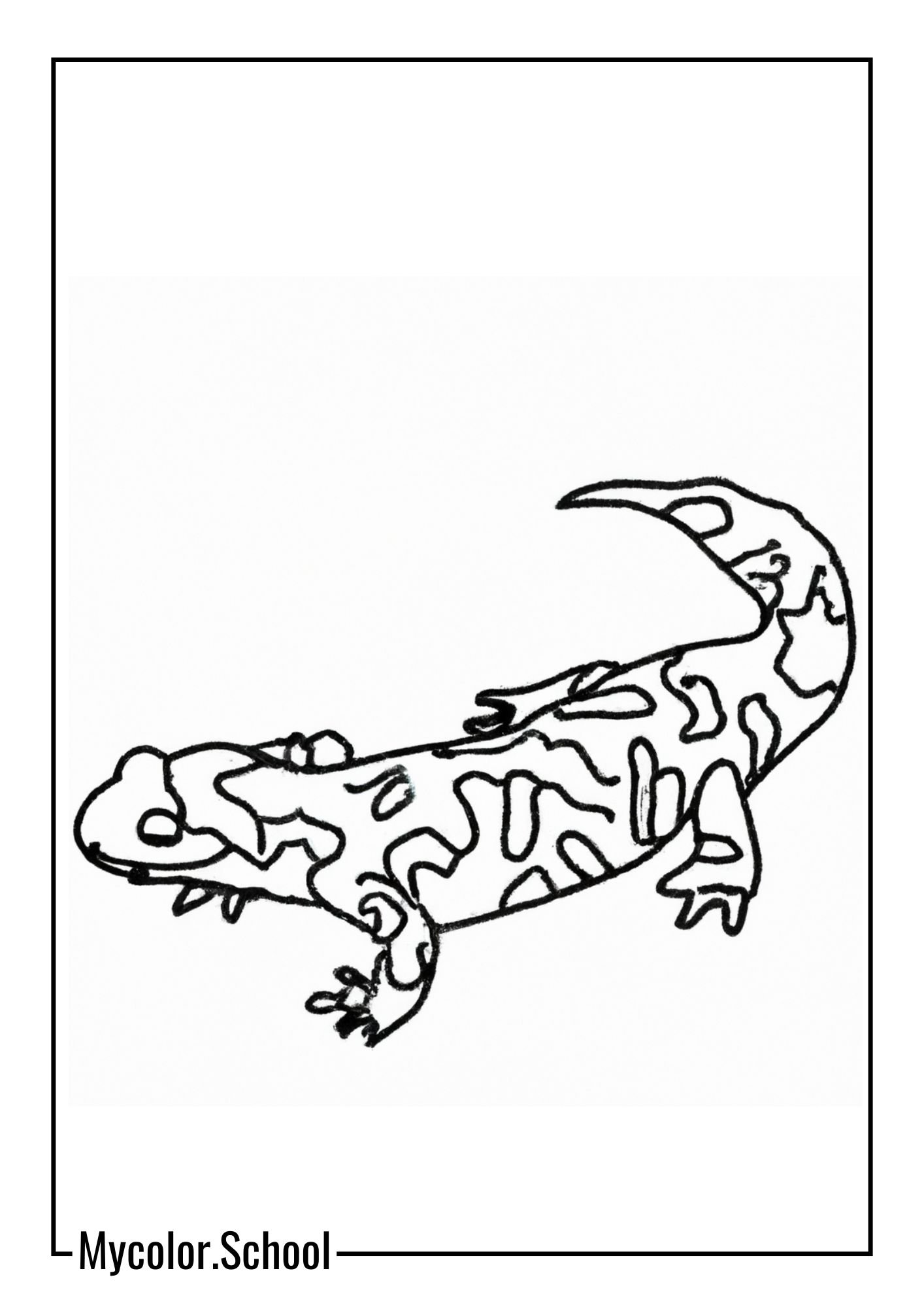 Salamander Coloring Pages Marbled Salamander