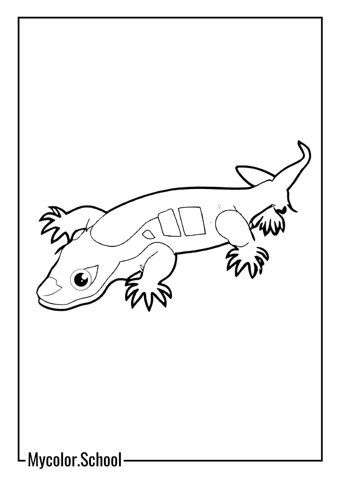 Salamander Coloring Pages Japanese Giant Salamander