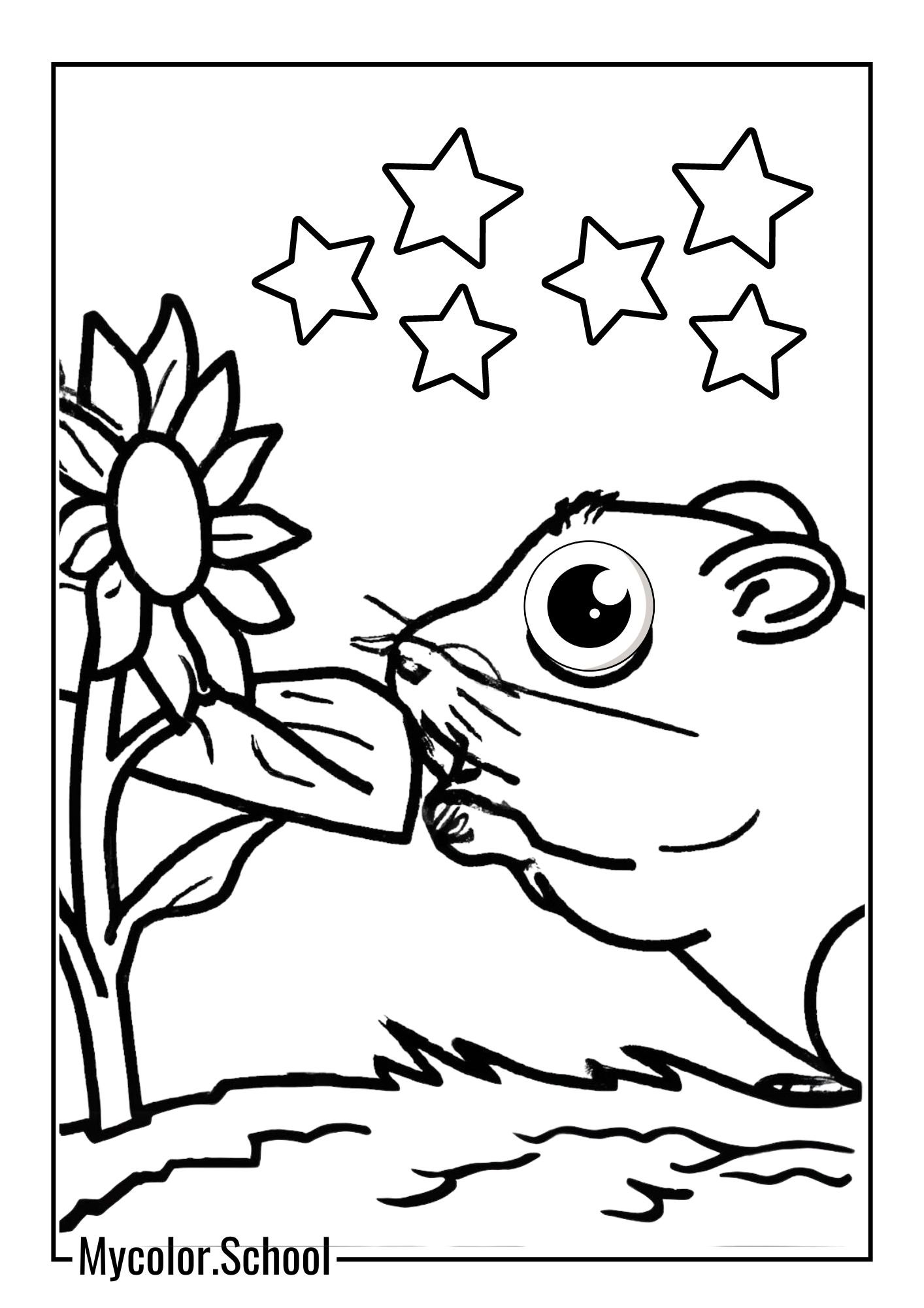 Hamster Coloring Pages nature lover