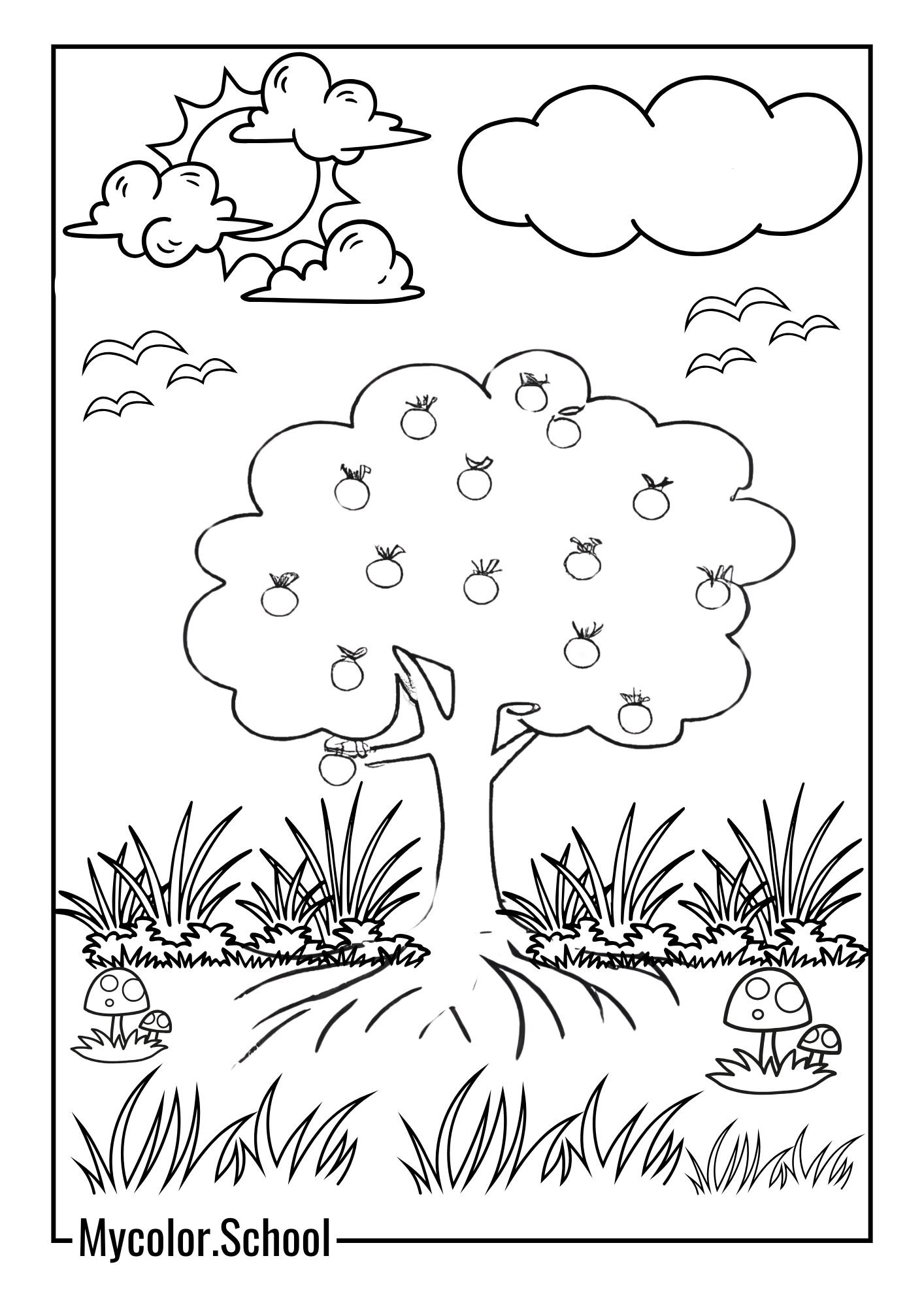 Apple Tree Coloring Pages Apple