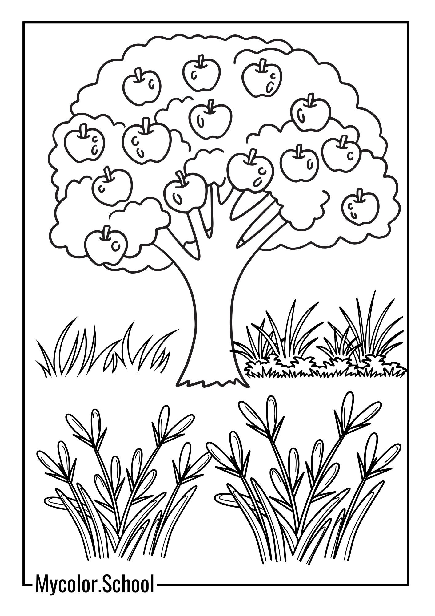 Apple Tree Coloring Pages Tree