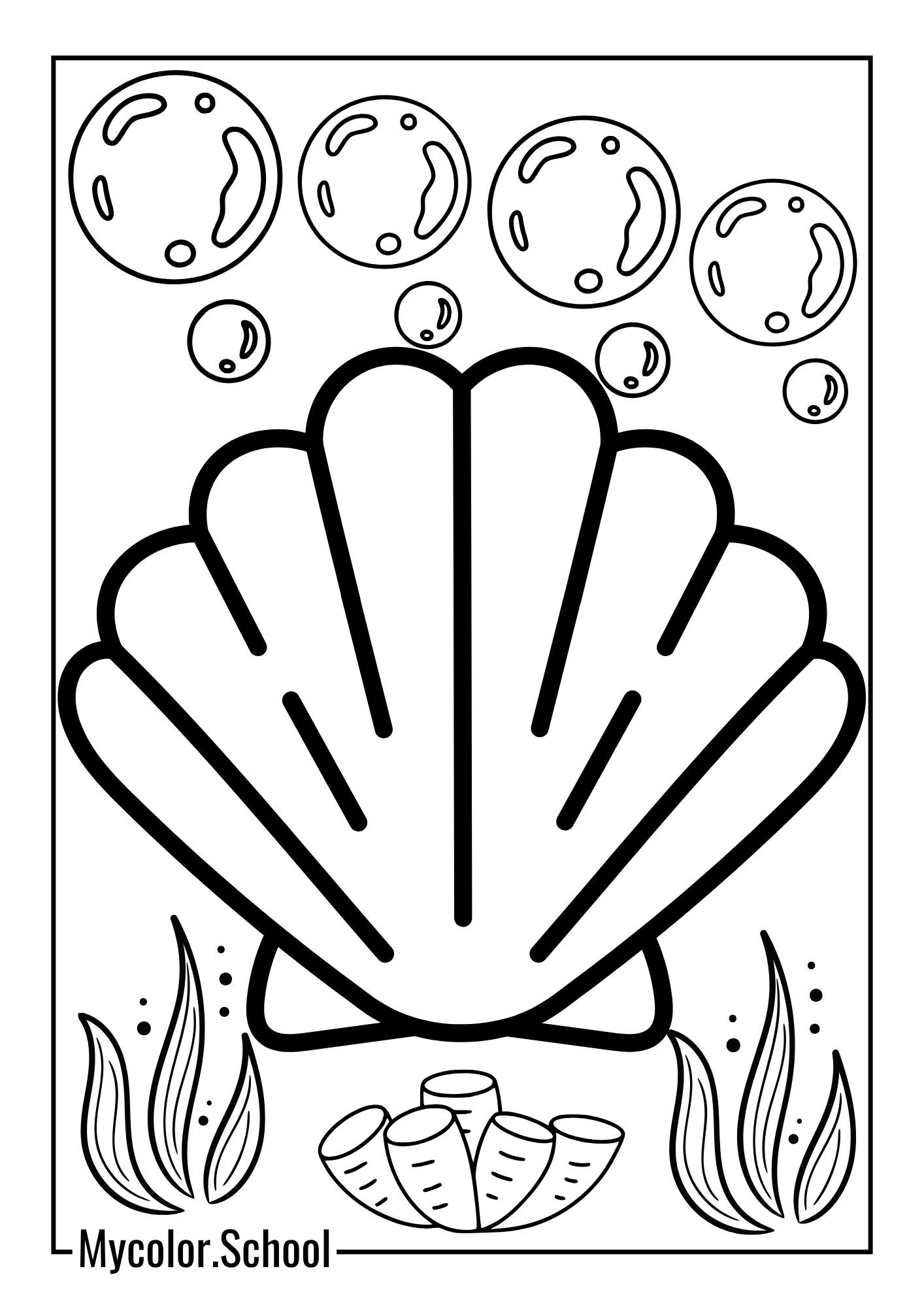 Seashell Coloring Pages Translucent Seashell