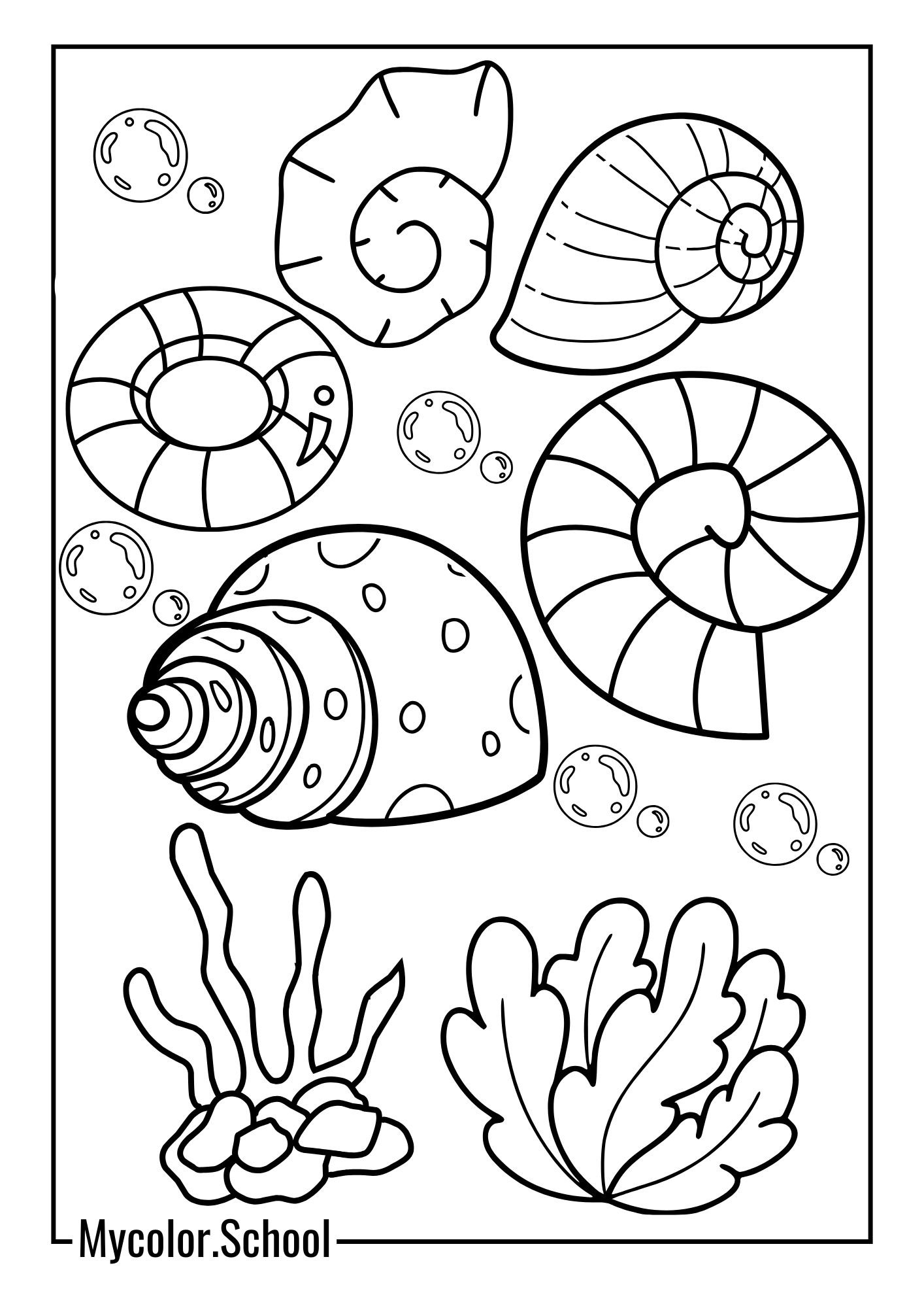 Seashell Coloring Pages Stunning Seashell