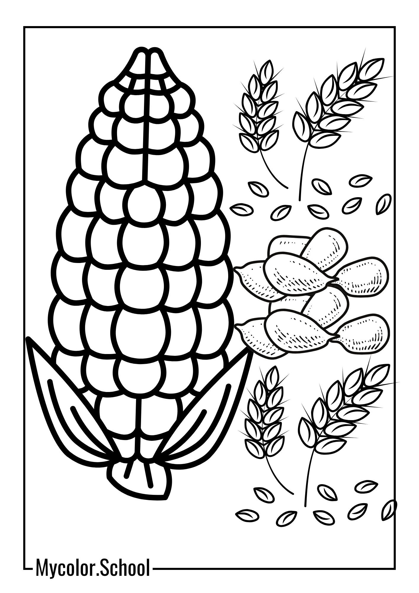 Corn Coloring Pages Delicious Corn