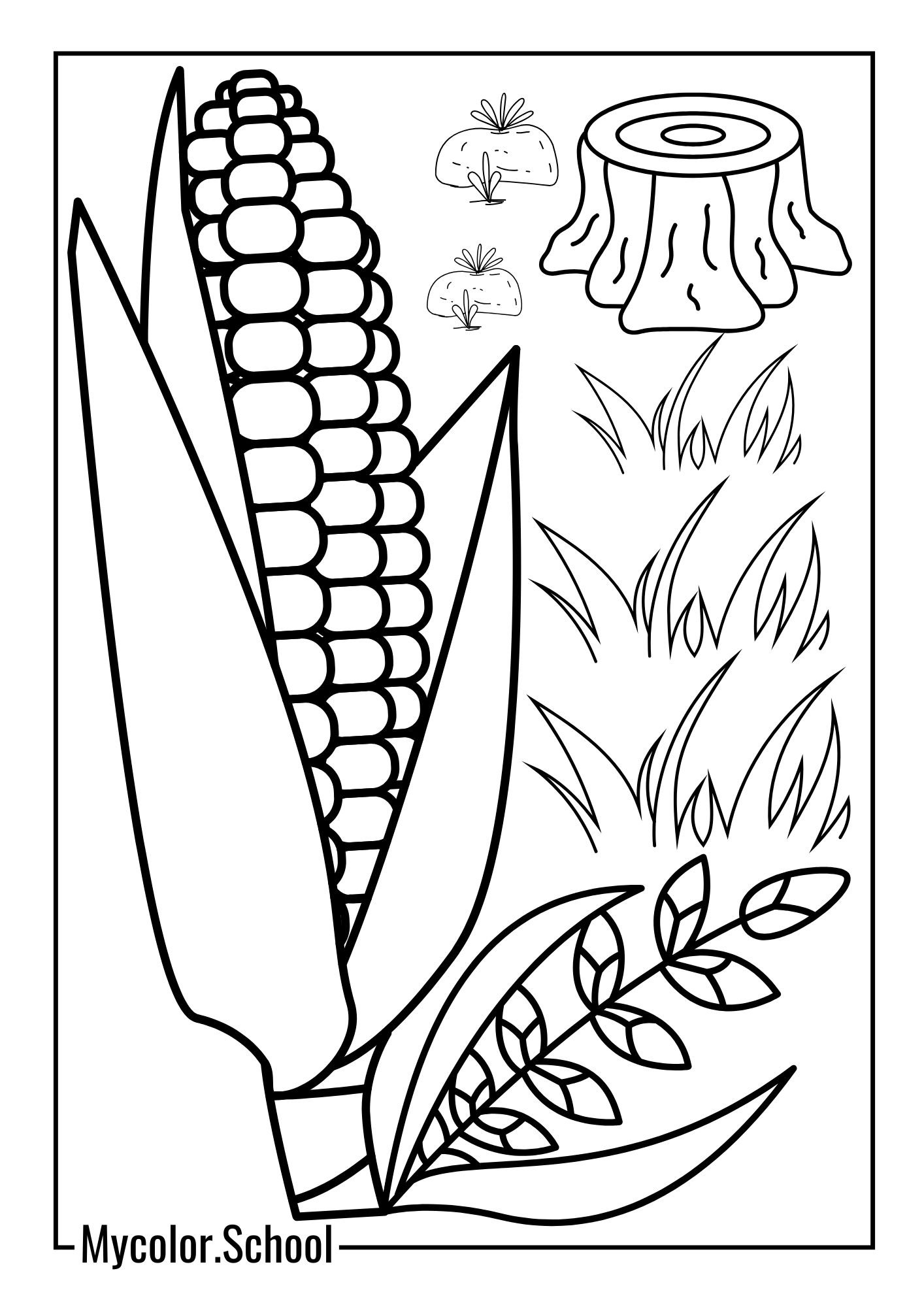 Corn Coloring Pages Great Harvest