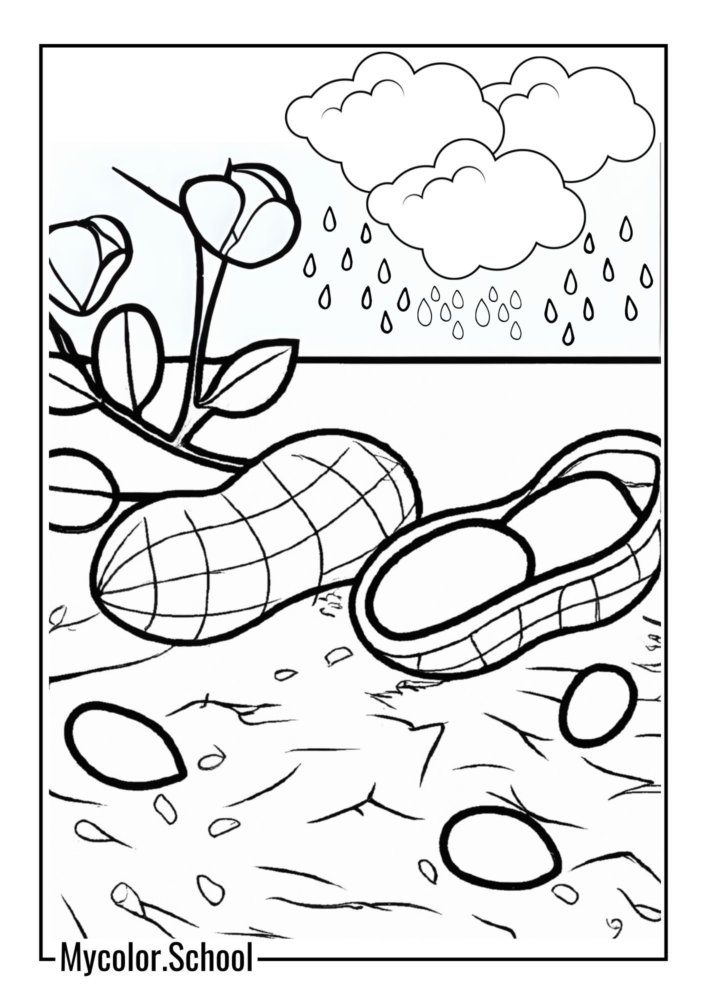 Peanut Coloring Pages Ground