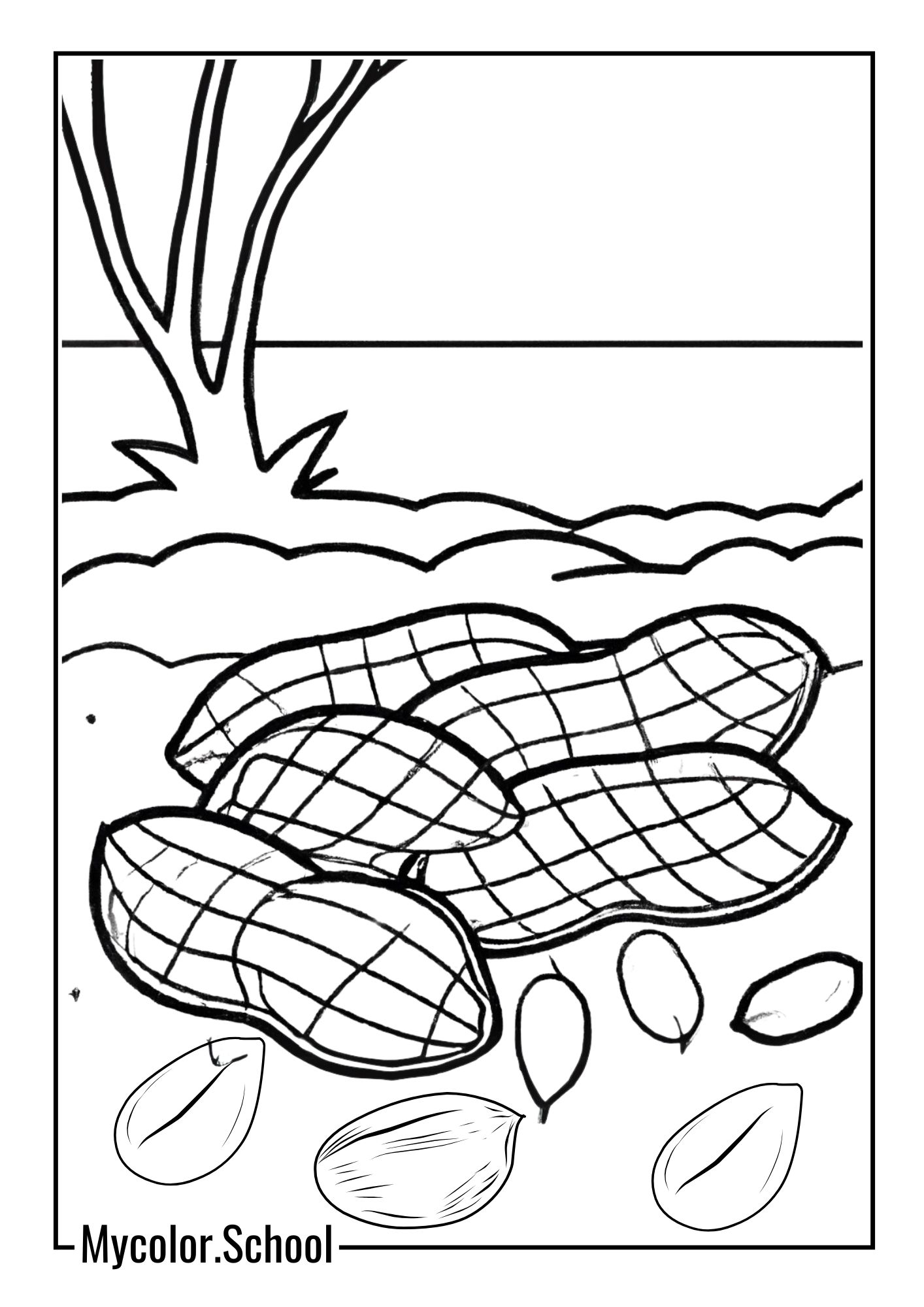 Peanut Coloring Pages Grow